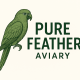 PURE FEATHER LOGO